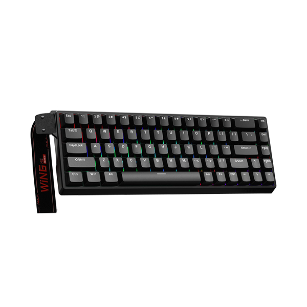 کیبورد گیمینگ مکانیکال سیم دار Aula مدل WIN68 HE
