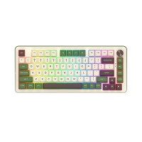 کیبورد بی سیم مکانیکال گیمینگ Redragon مدل Cyrus PRO K681 CGC