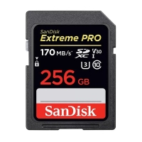 کارت حافظه‌ SD SanDisk 256G 170MB